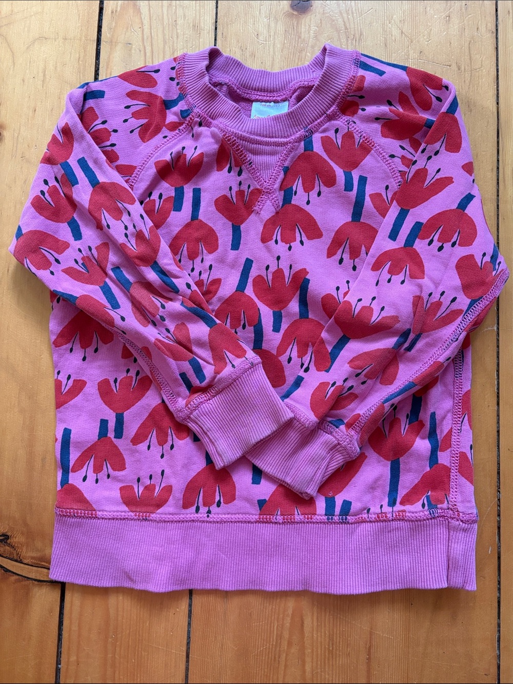 Hanna Andersson French Terry Sweatshirt- size 4T